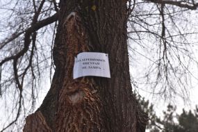 Warning sign on a tree