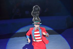 New program of the classic circus "Flash circus"