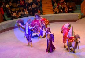 New program of the classic circus "Flash circus"