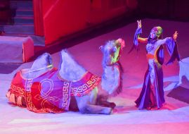 New program of the classic circus "Flash circus"