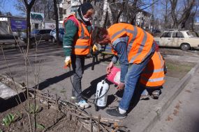 Работники готовятся к санитарной обработке жилых домов