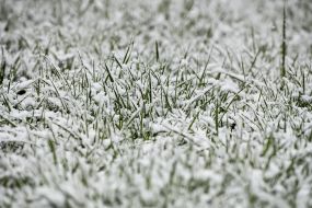 Snowfall in Kyiv