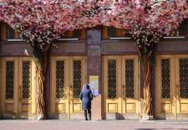 Decorated with flowering trees entrance to the Central department store