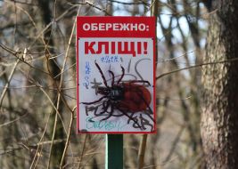 Предупредительная табличка "Осторожно клещи!" в парке