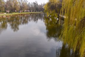 Park "Dubovy guy" in Zaporozhye