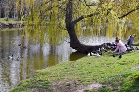 People feeding pigeons in the park