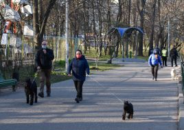 Люди вигулюють собак у парку