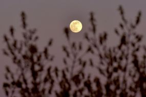 Full moon in Zaporozhye