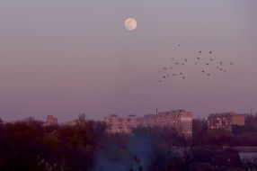 Full moon in Zaporozhye