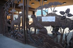 Closed gate in the zoo "XII months"