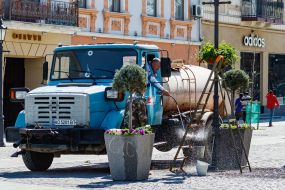 The driver of KP "Zelengos" is watering flowers on a flowerbed in Uzhgorod