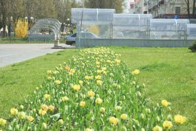 Весна в Чернигове