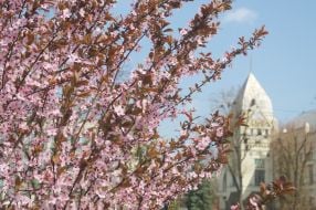 Весна в Чернигове