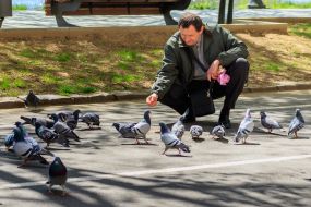 Мужчина кормит голубей