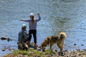 Дети и собака играют на берегу реки