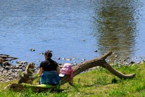 Женщина с собакой отдыхают на берегу реки