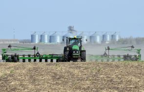Tractor sowing sunflower seeds