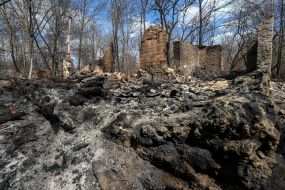 The effects of fires in the town of woodlands in the exclusion zone