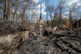 The effects of fires in the town of woodlands in the exclusion zone