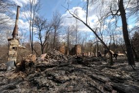 The effects of fires in the town of woodlands in the exclusion zone