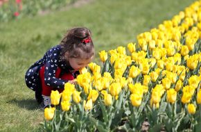 Girl sniffs tulips in Dobropark arboretum