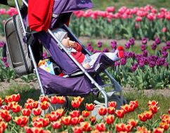 Baby in baby stroller in Dobropark arboretum