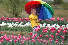 Little girl with a large multicolored umbrella