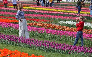 The boy takes a picture of a woman in the Dobropark arboretum