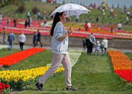 A woman with an umbrella at the Dobropark arboretum