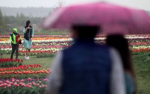 People in the rain in the Park "Dobromir"