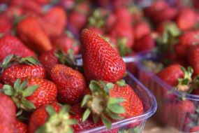strawberries