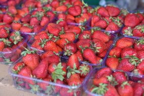 strawberries