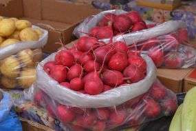 Trade in vegetables