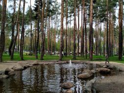 Decorative pond in one of the parks of Irpin