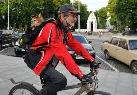 Cyclist with a dog