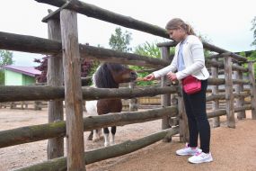 The girl feeds the pony at the zoo "Safari"