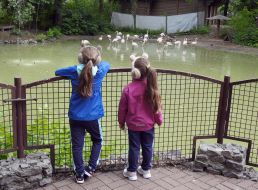 Girls look at birds in an aviary during the opening of the renovated Kyiv Zoo