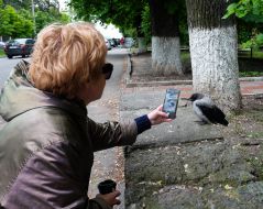 Woman photographs a crow
