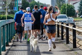 Учасники ранкової пробіжки