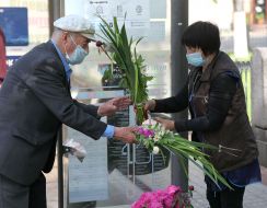 Продажа осоки, цветов и трав у Владимирского собора