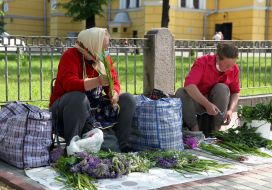 Sale of sedge and potion near Vladimir Cathedral