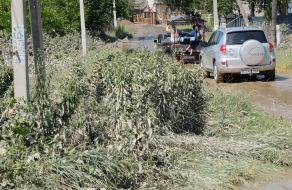 Наводнение в Черновицкой области