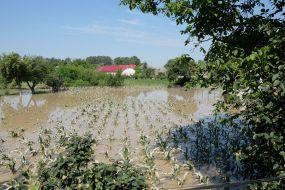 Наводнение в Черновицкой области