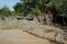 Наводнение в Черновицкой области