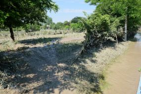 Наводнение в Черновицкой области