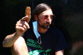 Action demanding legalization of medical cannabis