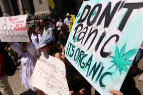 Action demanding legalization of medical cannabis