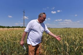 Аграрий в пшеничном поле