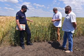 Профилактическая работа в местах сбора урожая