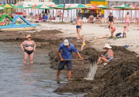 A man removes algae on the beach in Skadovsk